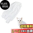 BTtime 猫 犬 術後服 術後カバー服 傷口保護 避妊術後ケア 術後ウェア 介護服 通気性 柔らかい 引っ掻き防止 皮膚保護 オス メス兼用 (M)