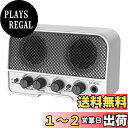 【送料無料】LEKATO ミニギターアンプ エレキギターアンプ 小型 2つサウンドチャンネル 充電式 5W Bluetooth機能 ヘッドホン端子搭載 AUX入力 自宅 練習用 日本語取扱説明書付き (ホワイト)