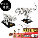 レゴ(LEGO) アイデア 恐竜の化石 21320