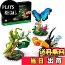 【送料無料】レゴ(LEGO) アイデア 昆虫コレクション 21342 おもちゃ ブロック プレゼント インテリア 模型 男の子 女の子 大人