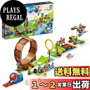 レゴ(LEGO) ソニック・ザ・ヘッジホッグ グリーンヒルゾーンのループチャレンジ 76994 おもちゃ ブロック プレゼント テレビゲーム 冒険 男の子 女の...