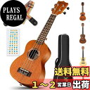 CAHAYA 23インチ ウクレレ ソプラノ マホガニー材 3年保証 ソプラノウクレレ ウクレレ初心者 付属品3点セット ストラップ×1 コードチャート×1 ギ...