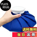 【送料無料】GOKEI アイスバッグ 氷のう 氷嚢 【Mサイズ】 アイシングバッグ 大口径 冷温両用 水漏れ防止 アイス バッグ スポーツ 手首用 肘用 膝用 関節 夏の暑さ対策グッズ ブルー