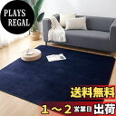 Keusnix カーペット ラグ ラグマット滑り止め付 洗える 200×300cm 約4.5畳 絨毯 防ダニ 抗菌 防臭 オールシーズン快適に使用 床暖房 ホッ...