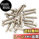 Musiclily Basic 2.8x17mm金属 ミリ規格 スレッド シングルピックアップビス ストラト/テレキャスターエレキギター用 PUネジ 、ニッケル...