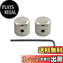 Musiclily Pro 1/4" スチール製細かいローレットドームノブ 横ネジ式 インジケータードットミリ/インチ規格兼用エレキギター/ベース用、ニッケル(2個セット)