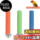 YFFSFDC オウム 止まり木 鳥用パーチ ねじ止め鳥棒 鳥かごパーツ鳥用爪とぎ棒 オウムの立ち棒 爪を磨く 噛む玩具 ケージスタンド 鳥休み場所 ペット用品(10*1.5cm)3本セットランダム色