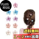 YFFSFDC ヘアクリップ ミニ 花 前髪クリップ バンスクリップ 可愛い 髪飾り ヘアアクセサリー 髪留め 大人 結婚式 パーティー 誕生日 10個セット