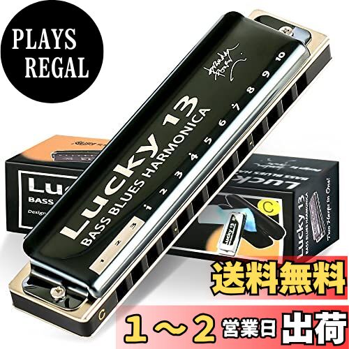 East top ハーモニカ ブルースハーモニカ 13ホール C? ジャズ専門家 大人用 子供用 勉強 練習用 真鍮カバー キャンバスケース Lucky13 (Richter-C) その1