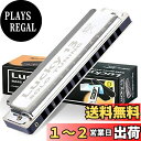East top ハーモニカ ブルースハーモニカ 13ホール D? ジャズ専門家 大人用 子供用 勉強 練習用 真鍮カバー キャンバスケース Lucky13 (solo-D)