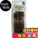 【送料無料】KATO ジオラマ用品 天然素材樹木2 林冠 24-558 鉄道模型用品