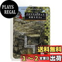 KATO ジオラマ用品 ジオラマ入門キット 岩面を作る 編 24-340 鉄道模型用品