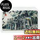 KATO ジオラマ用品 針葉樹キット 小 60~100mm 12本入 24-566 鉄道模型用品
