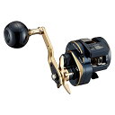 (DAIWA)  21 ƥIC 300