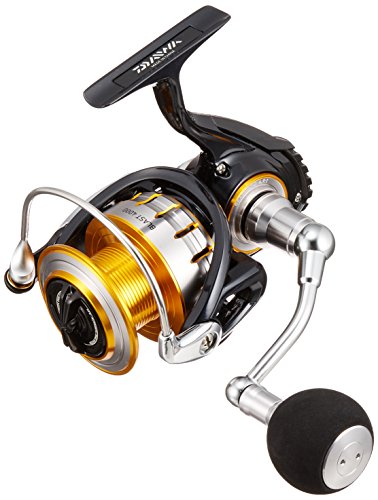 ダイワ(DAIWA) スピニングリール 16 ブラスト 4000(20