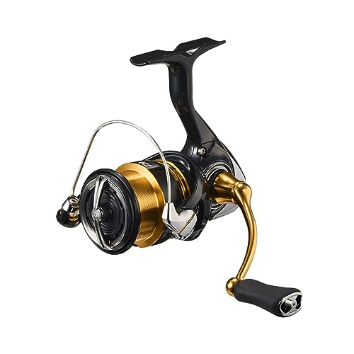 _C(DAIWA) XsjO[ 23KX LT2500S-XH