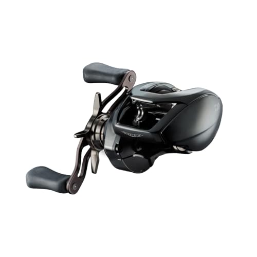 ダイワ(DAIWA) バスベイトリール 24STEEZ(スティーズ) SV TW 100 (2024年モデル)