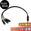 CERRXIAN 1FT 3.5mmステレオオーディオAUXキャビネット1/8