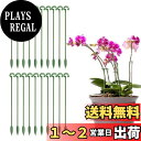 Coollooda 園芸支柱【20本組セット】観葉支柱 植物支柱 花ささえ 観葉植物 支柱棚 花支え ガーデニング 柱 植物サポート ガーデニング 家庭菜園 農...