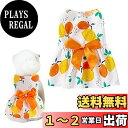 AmzBarley 犬服 ワンピース ペット服 春夏秋 ドッグウェア 可愛い 蝶結び オレンジ柄 通気性 袖なし ソフト 着脱簡単 抜け毛防止 小中型犬 猫服 犬用 スカート 洋服 室内 記念撮影 散歩 お出かけ