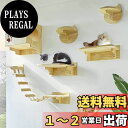Umora 猫用 キャットタワー 猫家具 キャットステップ 猫棚 猫ハウス 木製 吊り橋 爪とぎポール キャットウォーク 壁付け 遊び場 ストレス解消 9つセッ...