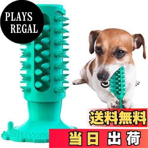 Caseeto 犬用おもちゃ 噛むおもちゃ 丈夫 犬用歯ブラシ 犬の歯ブラシ 犬の噛むおもちゃ 餌入れ 犬用歯ぎ清潔口内介護ブラシ ストレス解消 訓練玩具 耐久性 (G円柱型・ブルー)