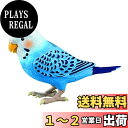 タカラトミー TAKARATOMY 毎日おしゃべり 天才インコちゃん 青 ブルー 対象年齢:6歳 脳トレ ヒーリングパートナー おしゃべり1100通り以上 お歌10曲