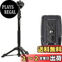 スリック SLIK スマホ自立一脚 スタンドポッド GX-S with One More クイックシューセット ビデオカメラ対応 レバーロック式 24mmパイプ径 3WAY雲台 全高1875mm クイックシュー式 STAPODGXSST 【特別セット】