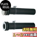 SANEI バス接続管 浴槽と風呂釜の接続用 パイプ径45・50兼用 2本入り PT46-1