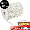 PandaHall 約18m/巻き 5mm ホワイト紐 ツイスト ナイロン ロープ 編みコード 手芸コード 髪飾り 成人式 和装用リボン ラッピングコード クラフトロープ マクラメ カーテン DIY用 紙袋の手持ち 手作り素材 壁掛け用 アクセサリーパーツ