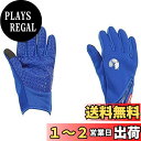 キャプテンスタッグ(CAPTAIN STAG) グローブ 手袋 防風 防寒 ウエットスーツ生地 スリムタイプ スマホ対応 男女兼用 Sサイズ ブルー UX-11...