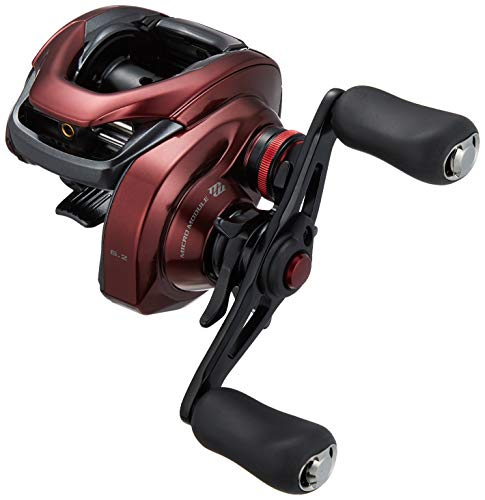 シマノ(SHIMANO) ベイトリール 両軸 19 スコーピオン 