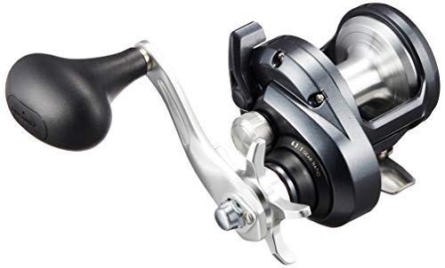 ޥ(SHIMANO) ٥ȥ꡼ ξ 20 ȥꥦ 1500HG()  鿴Ը