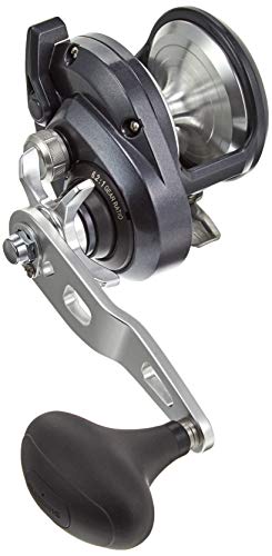 ޥ(SHIMANO) ٥ȥ꡼ ξ 20 ȥꥦ 2000HG()  鿴Ը