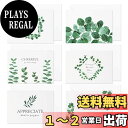 Sitengle メッセージカード 感謝カード 封筒付き 封筒テープ付き グリーティングカード 祝賀カード シンプル ビジネス 招待状 結婚式 お祝い手紙 挨拶...