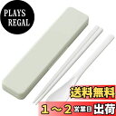 スケーター (skater) コンビセット 箸 スプーン セット 抗菌 くすみ グリーン 日本製 18cm CCS3SAAG-A