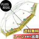 スケーター(Skater) ビニール傘 長傘 60cm ジュラシック・ワールド UBV1N-A