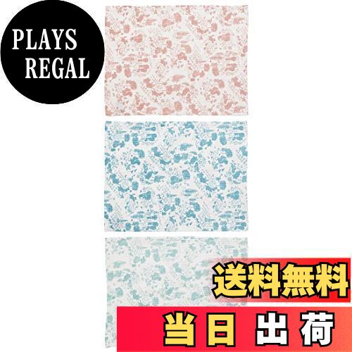 【送料無料】スケーター(Skater) ワッフル生地 ふきん 3枚 ピーターラビット 31×41cm 布巾 クロス KFWC3-A