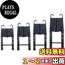DayPlus 伸縮はしご 最長3.8 m (12.5 ft) 折り畳み伸縮梯子 フック付き 多機能アルミはしご 持ち運びに便利 軽量 耐荷重150 kg 室内...