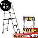 【送料無料】DayPlus 伸縮脚立はしご 兼用脚立 5段+5段 踏み台 折りたたみ式脚立 コンパクト収納 ステンレス製はしご 持ち運び便利 室内屋外両用 大掃...