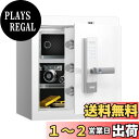 RPNB 金庫 防犯金庫 保管庫 スマートタッチスクリーン音声提示金庫 二重警告 取り外し可能な棚 緊急キー2本 家庭用 事務所 ホテル 45L ホワイト