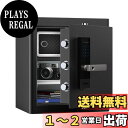 RPNB 金庫 防犯金庫 保管庫 スマートタッチスクリーン音声提示金庫 二重警告 取り外し可能な棚 緊急キー2本 家庭用 事務所 ホテル 45L