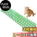 ONESORA 猫よけシート 猫よけとげマット スリムタイプ 【495×140mm 12枚入り】 野良猫 侵入防止 フン害防止 犬猫侵入防止