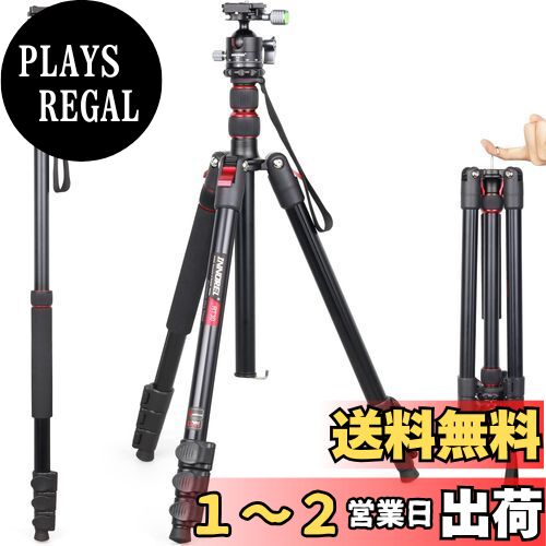 ջ INNOREL ȥ٥ ӲѼ  15KGѲٽ 197CMȹ⤵ 36MMſդ ѥȥ...
