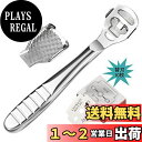 【送料無料】DFsucces 角質削り 魚の目 かかと 角質取り 角質ケア うおのめ 足魚の目 角質除去 替刃10枚付き (シルバー)