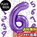 EXGOX 数字 バルーン パープル 大きい 誕生日 ナンバー 6 アルミ風船 32インチ ハッピーバースデー パーティー 成人式 入学 卒業式 記念日 お祝い 飾り付け