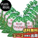 DERAYEE クリスマス ラッピング袋 10枚セット 巾着袋 ビニール袋 50x38cm サンタさん 誕生日 ギフト袋 包装 Merry Christmas (10枚セット)