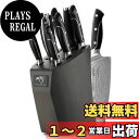 Nanfang Brothers 9点包丁セット 包丁ブロックセット ダマスカス鋼 VG10製 全67層 ABSハンドル【三徳包丁 牛刀包丁 柳刃包丁 パン切り...