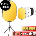 Selens 楕レフ板 80x120cm ライトスタンド180cm クリップホルダー スタジオ撮影キット 人物撮影 商品撮影 室外撮影対応 (金、銀、白、黒、半...