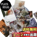 【送料無料】Alideco シール フレークシール | ヴィンテージインステッカー 風景 | スケジュール 手帳 アルバム デコ 手紙 カレンダー / 110枚セット (咲く松かさhuakaibanxia)